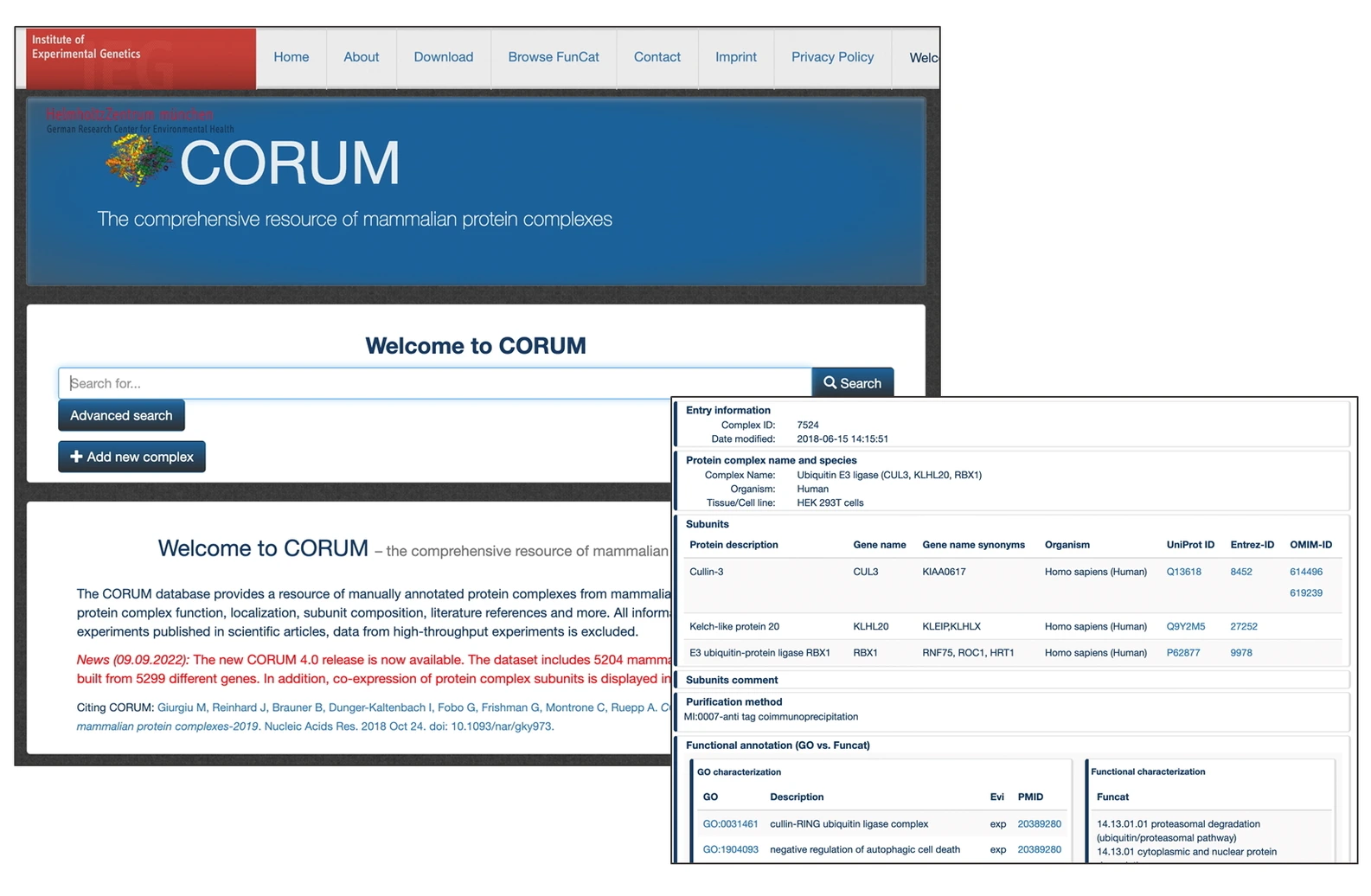 Biocuration_CORUM_Project