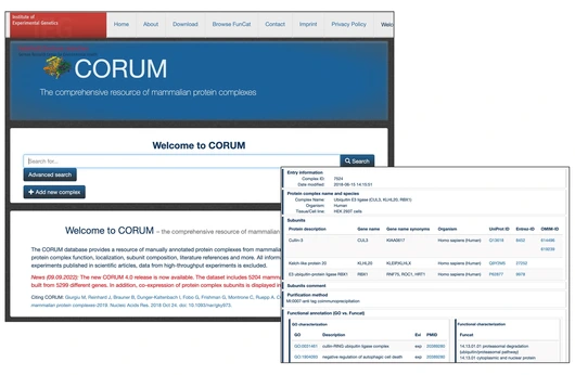 Biocuration_CORUM_Project