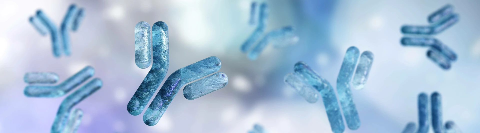 antibody, immunoglobulin, Y-shaped protein produced mainly by plasma cells