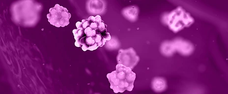 Glucose and insulin molecules in the blood