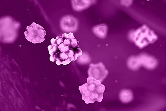 Glucose and insulin molecules in the blood