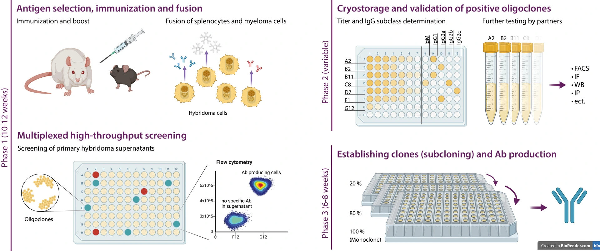 220831-AK-Herstellung_iLabs-dark