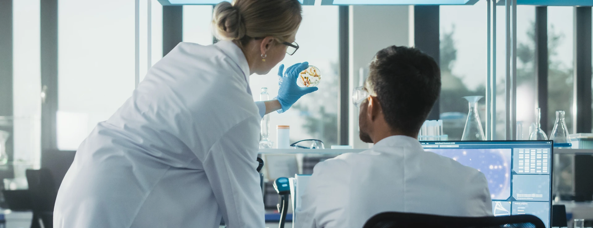 Labor Drug Discovery