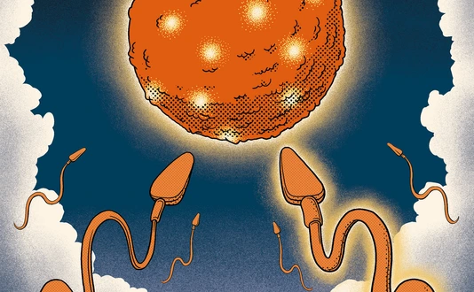 Artwork features an allegorical representation of a fertilization event
