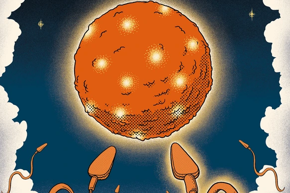 Artwork features an allegorical representation of a fertilization event
