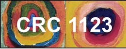 Logo SFB CRC 1123