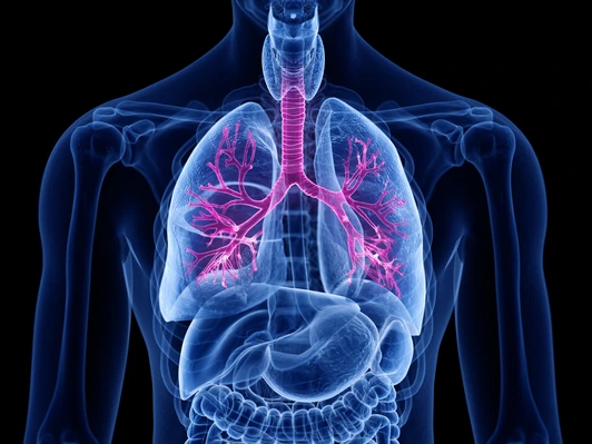 Allergisches Asthma