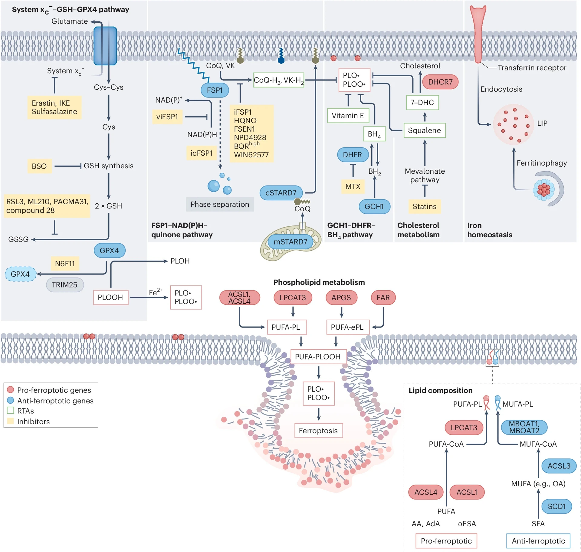 41556_2024_1425_Fig1_HTML