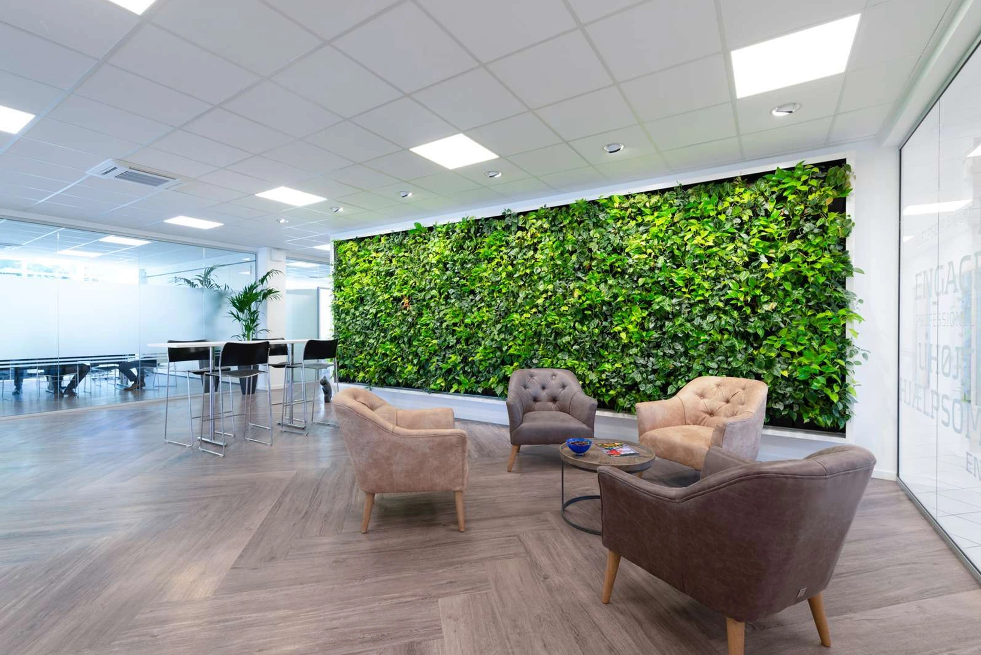 Natural Greenwalls - Pflanzen an Wänden im Büro in der Mittelzone