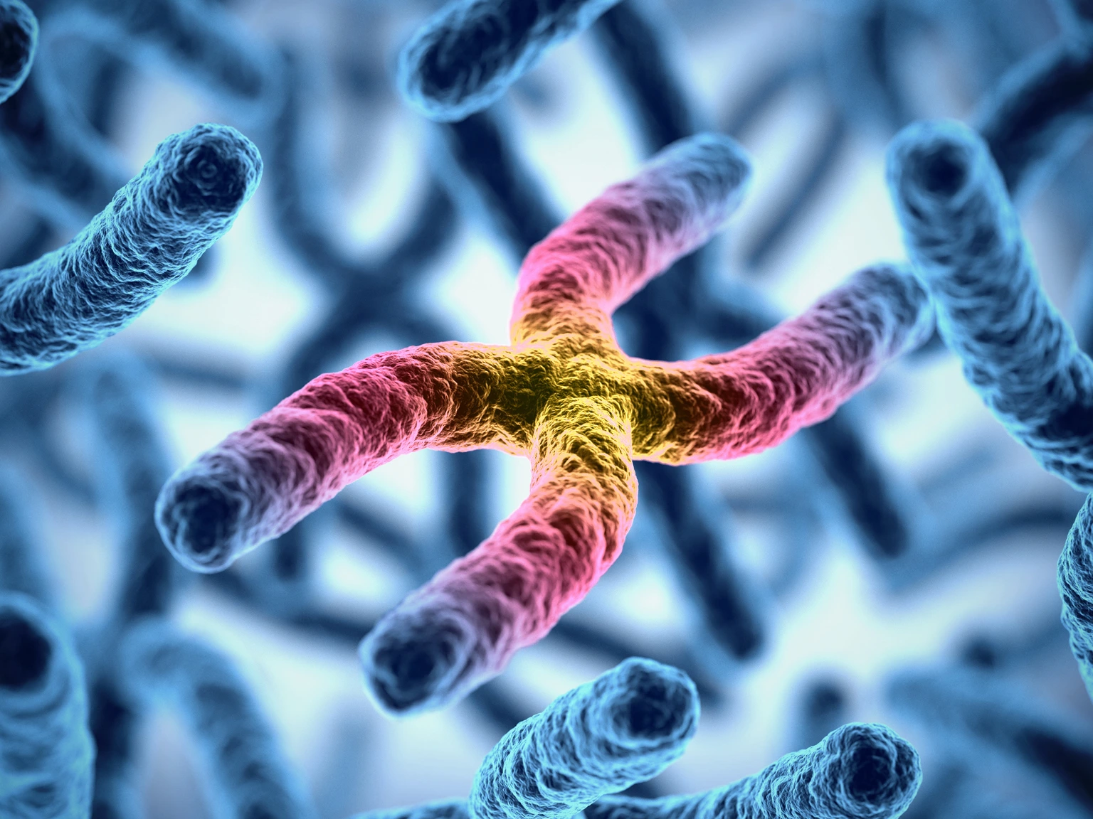 chromosomes 3d illustration