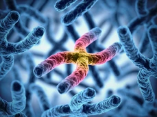 chromosomes 3d illustration