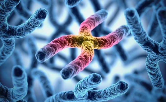 chromosomes 3d illustration