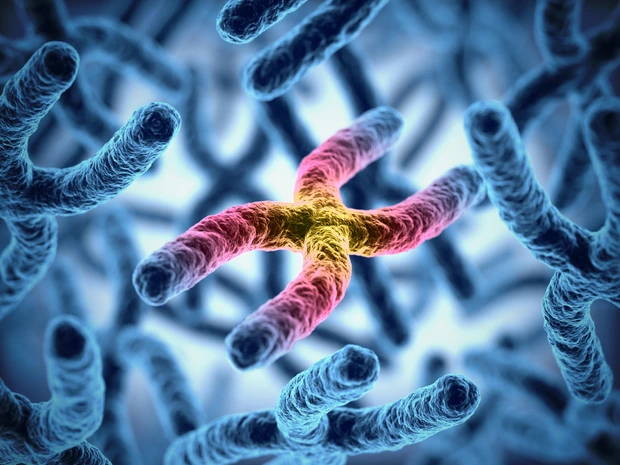 Künstlerische Darstellung von Chromosomen