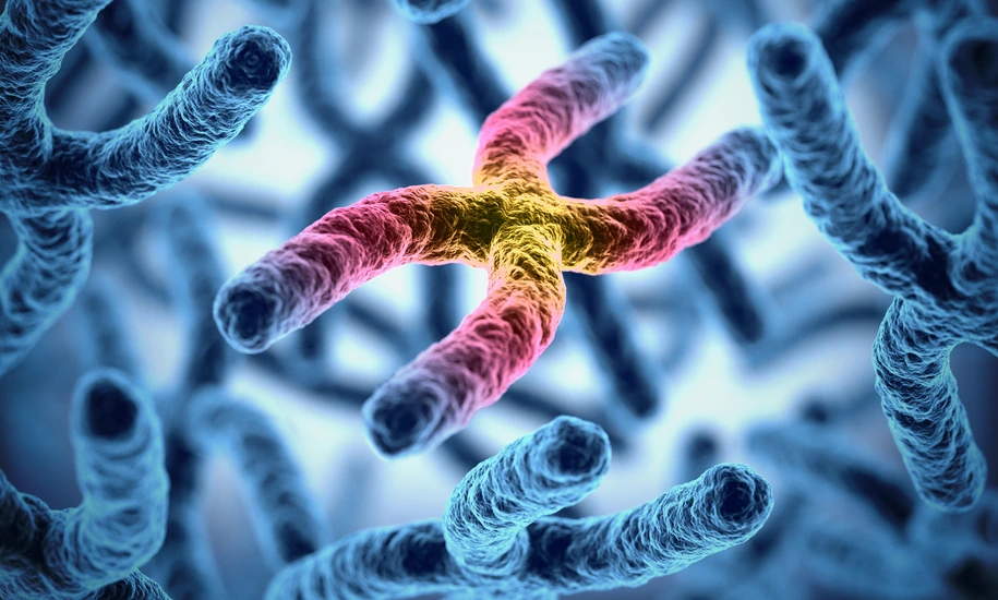 chromosomes 3d illustration