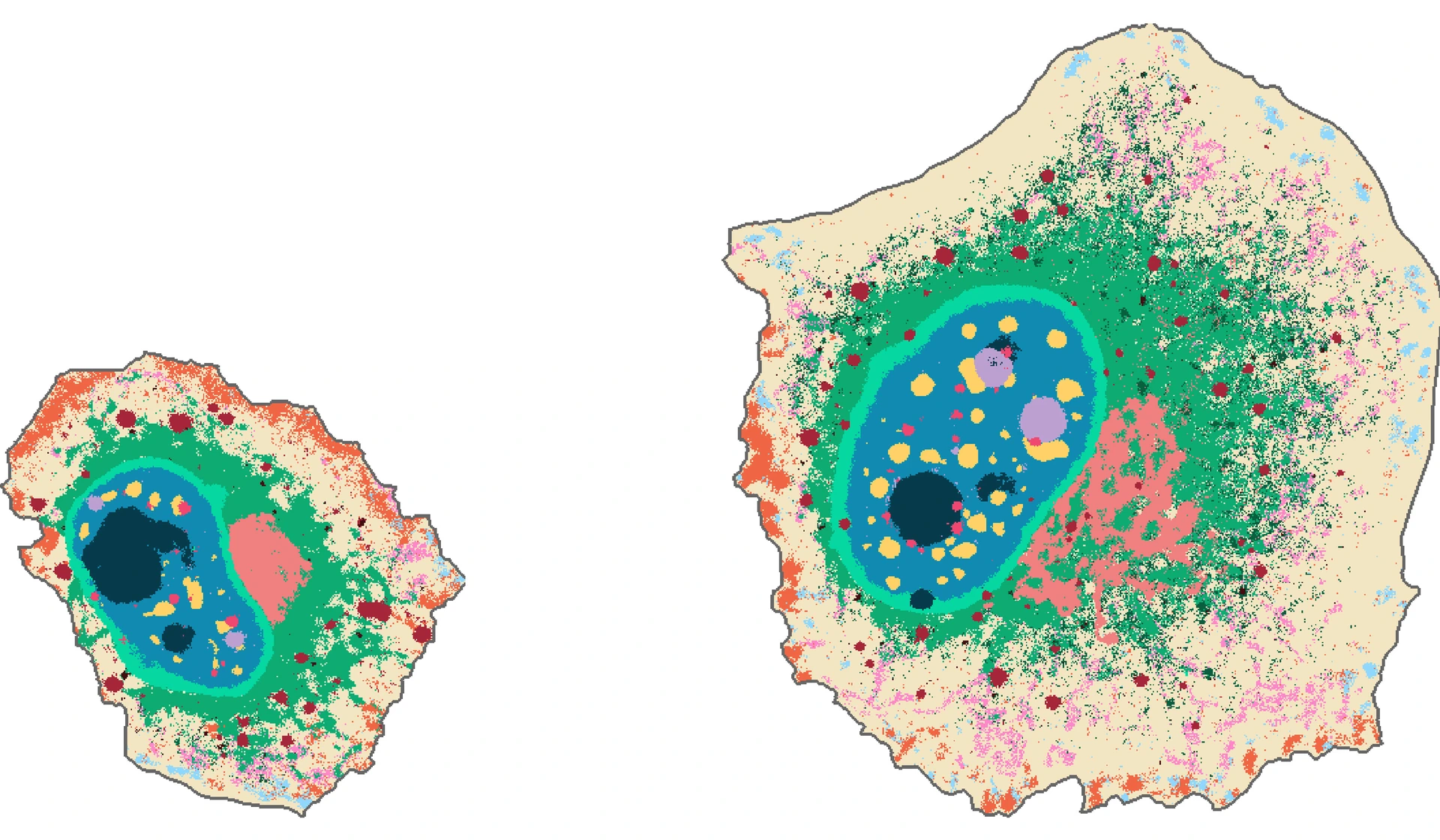 CSLs identified using CAMPA