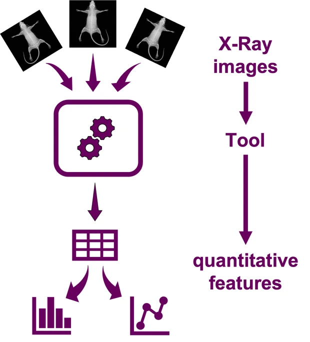 ACB_xray_project