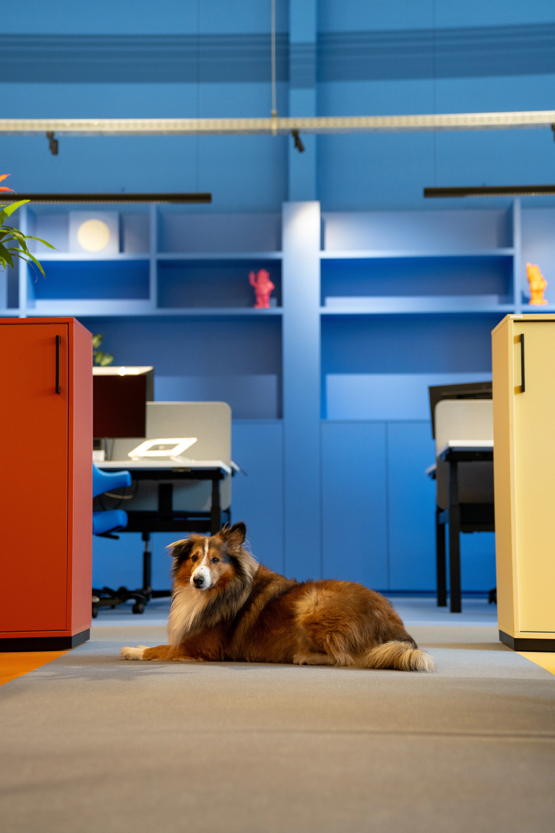 Referenz GBL-Agentur
