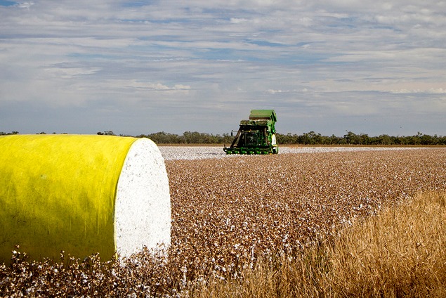 Project planning and realisation