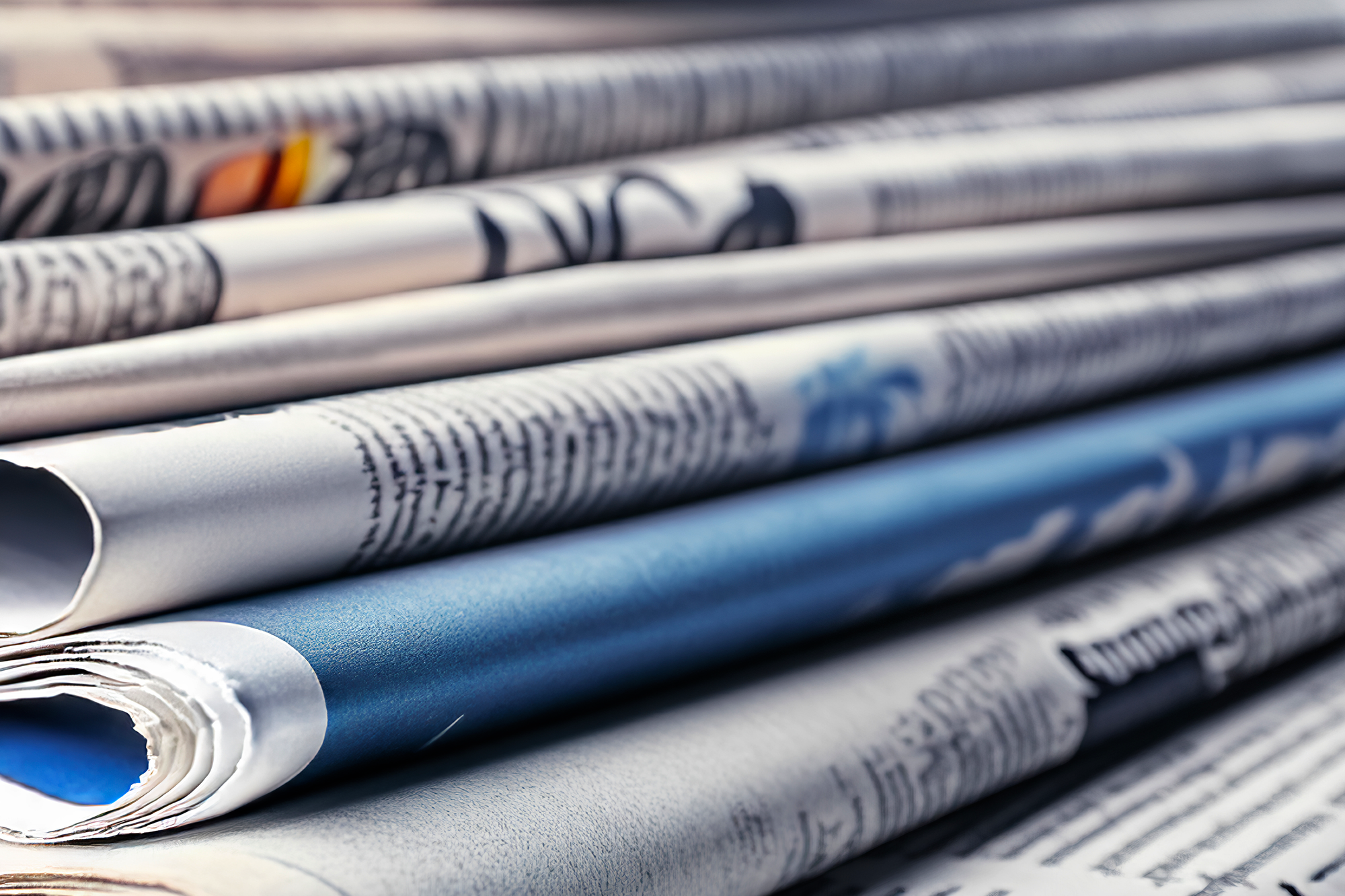 Rassegna stampa