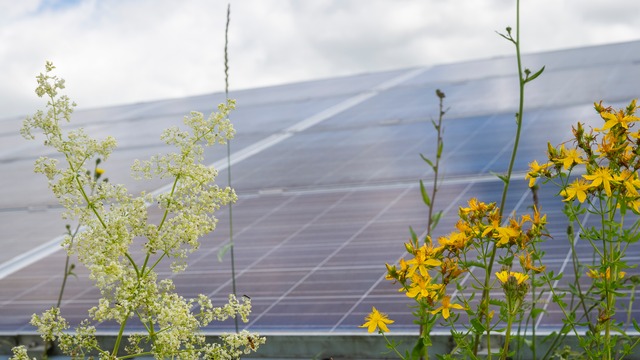 Online interactions on the climate crisis will be reduced by 9% in Spain by 2023