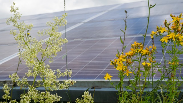 BayWa r.e. erhält Zuschlag für innovatives Speicherprojekt