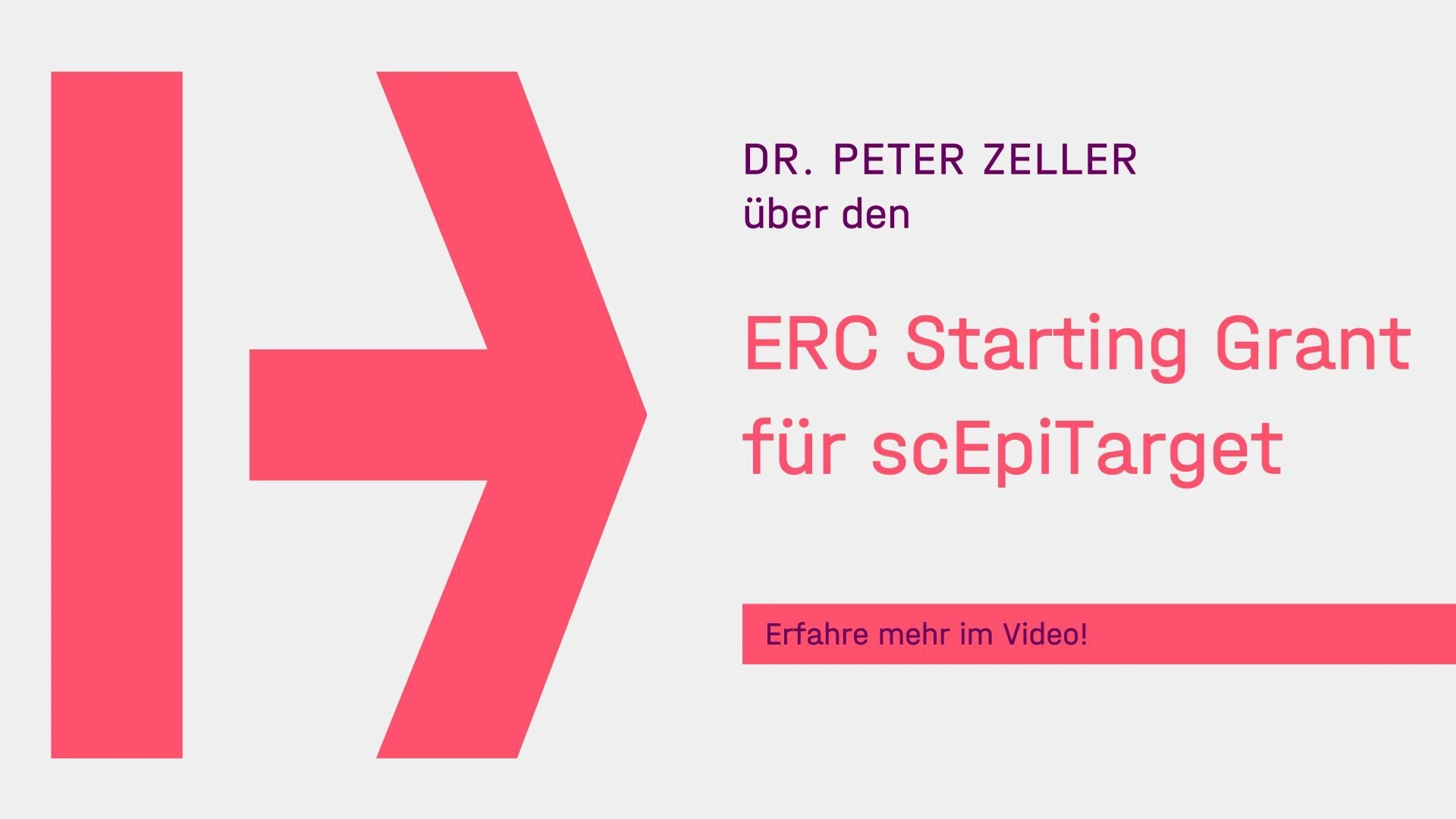 Videos_ Vorschaubilder_Hofmannn - 8