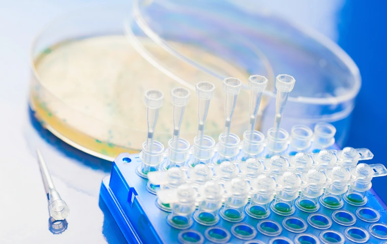 Bacterial colony picking for DNA cloning