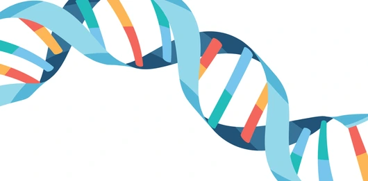DNA helix symbol isolated on white background illustration