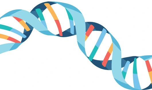 DNA helix symbol isolated on white background illustration