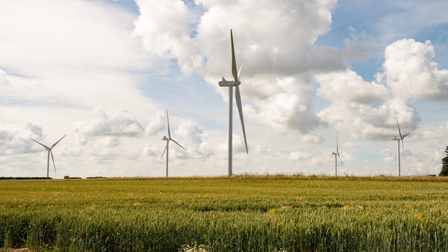 5 wind turbines in a field