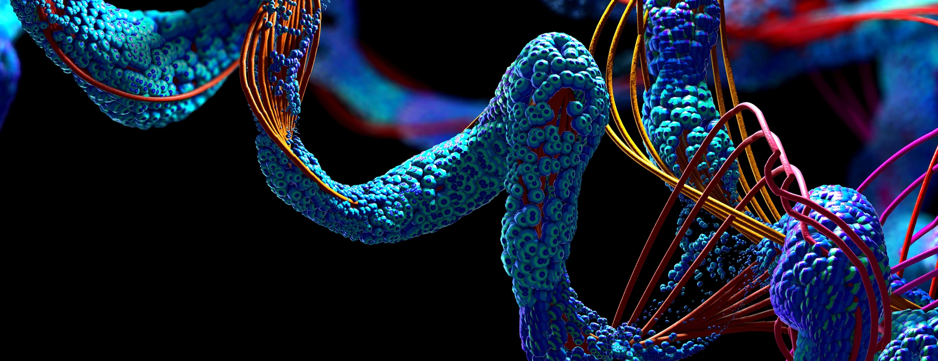 Chain of amino acid or bio molecules called protein - 3d illustration