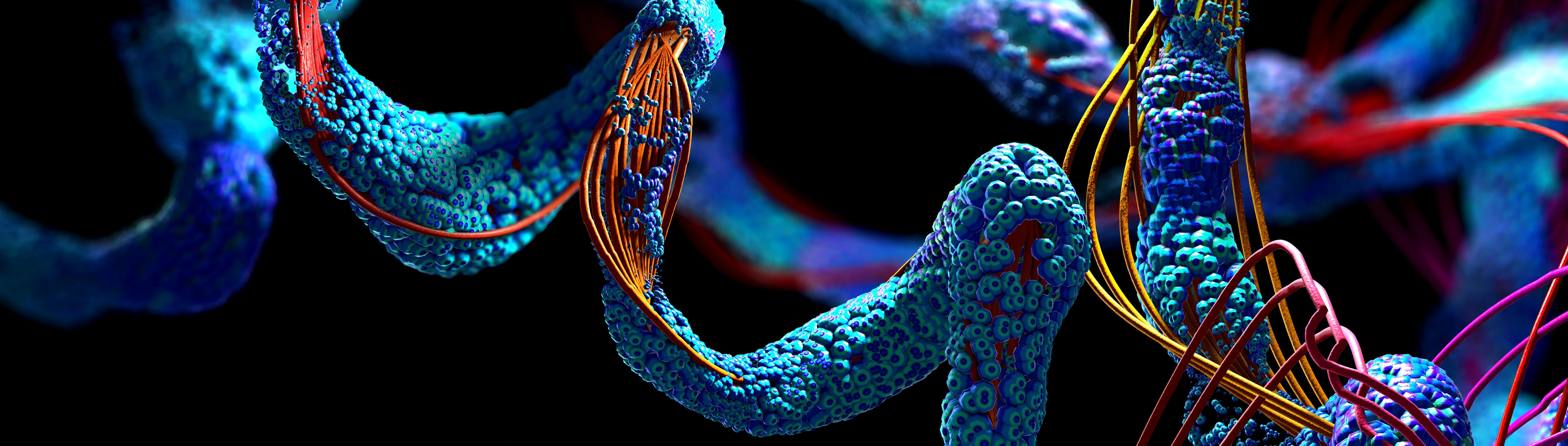 Chain of amino acid or bio molecules called protein - 3d illustration