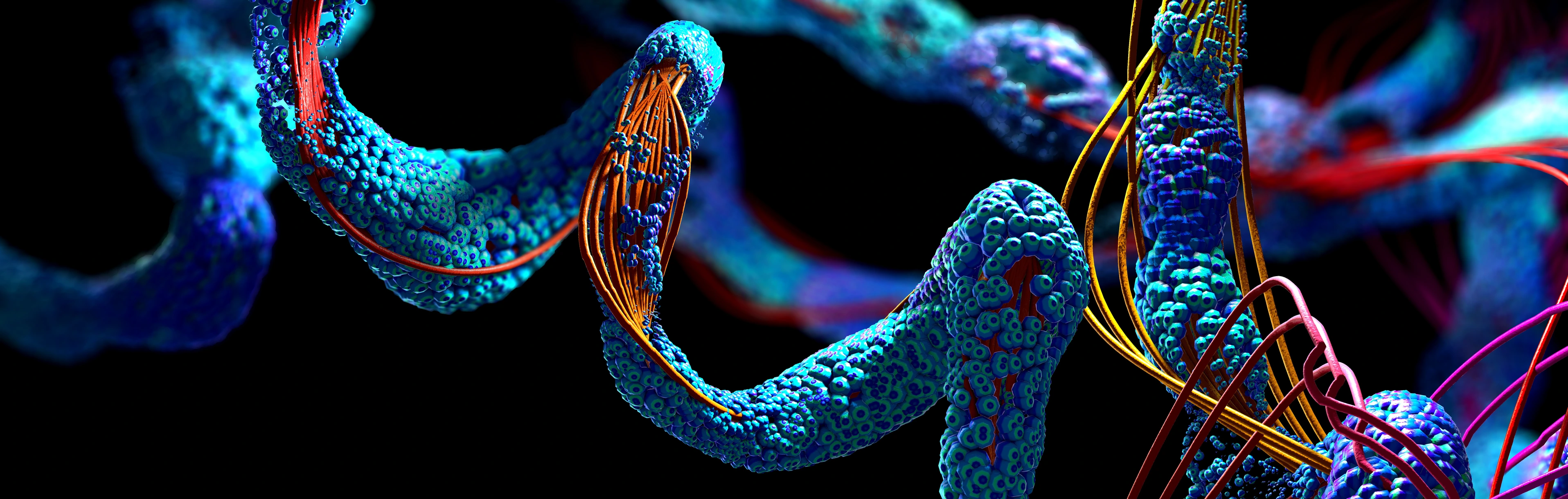 Chain of amino acid or bio molecules called protein - 3d illustration