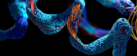 Chain of amino acid or bio molecules called protein - 3d illustration