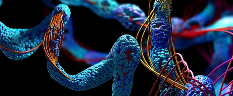 Chain of amino acid or bio molecules called protein - 3d illustration