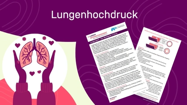 Vorschaubild Factsheet Lungenhochdruck