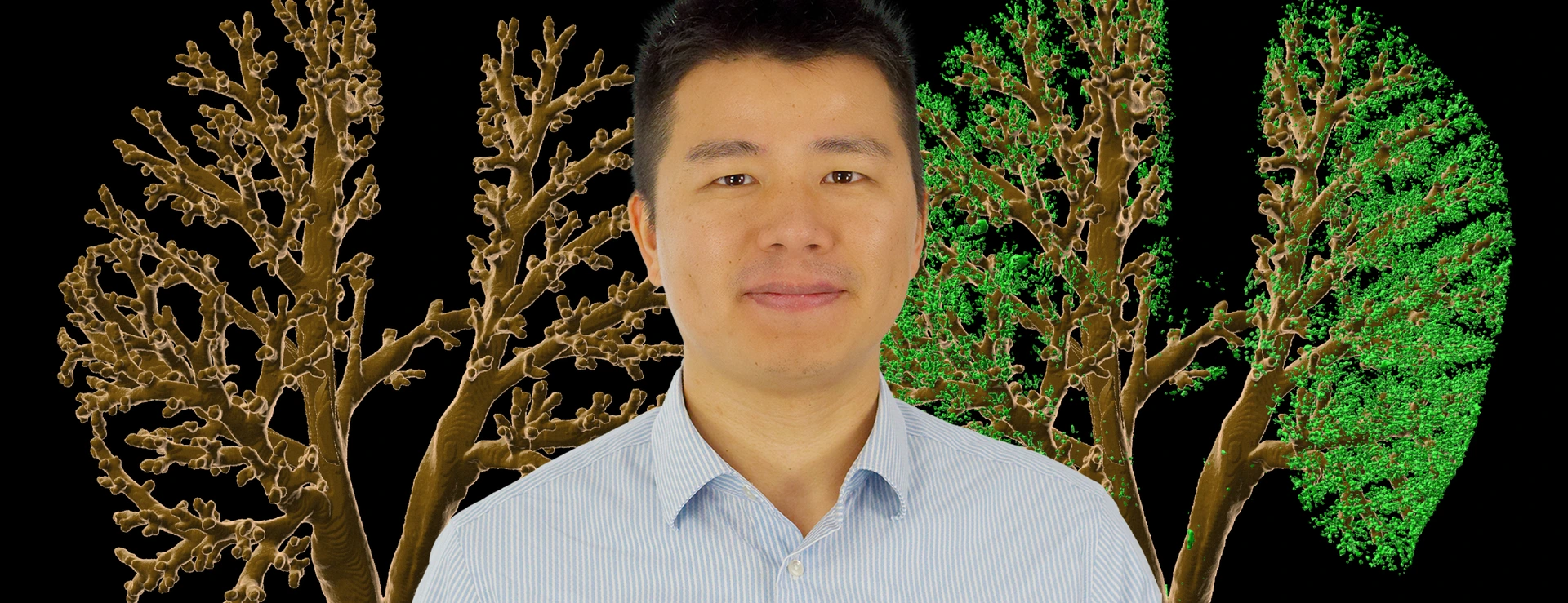 LinYang_LHI_Aerosole_Montage2 jpg