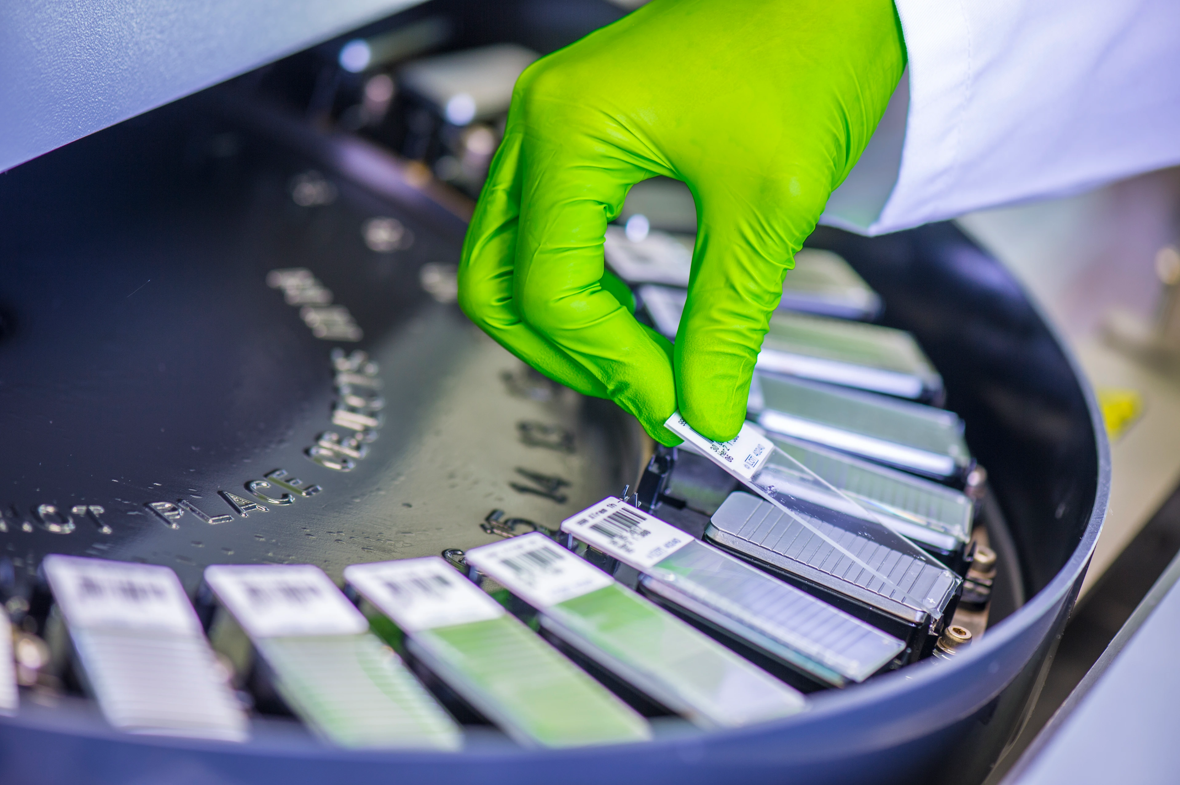 Präparate Karussell