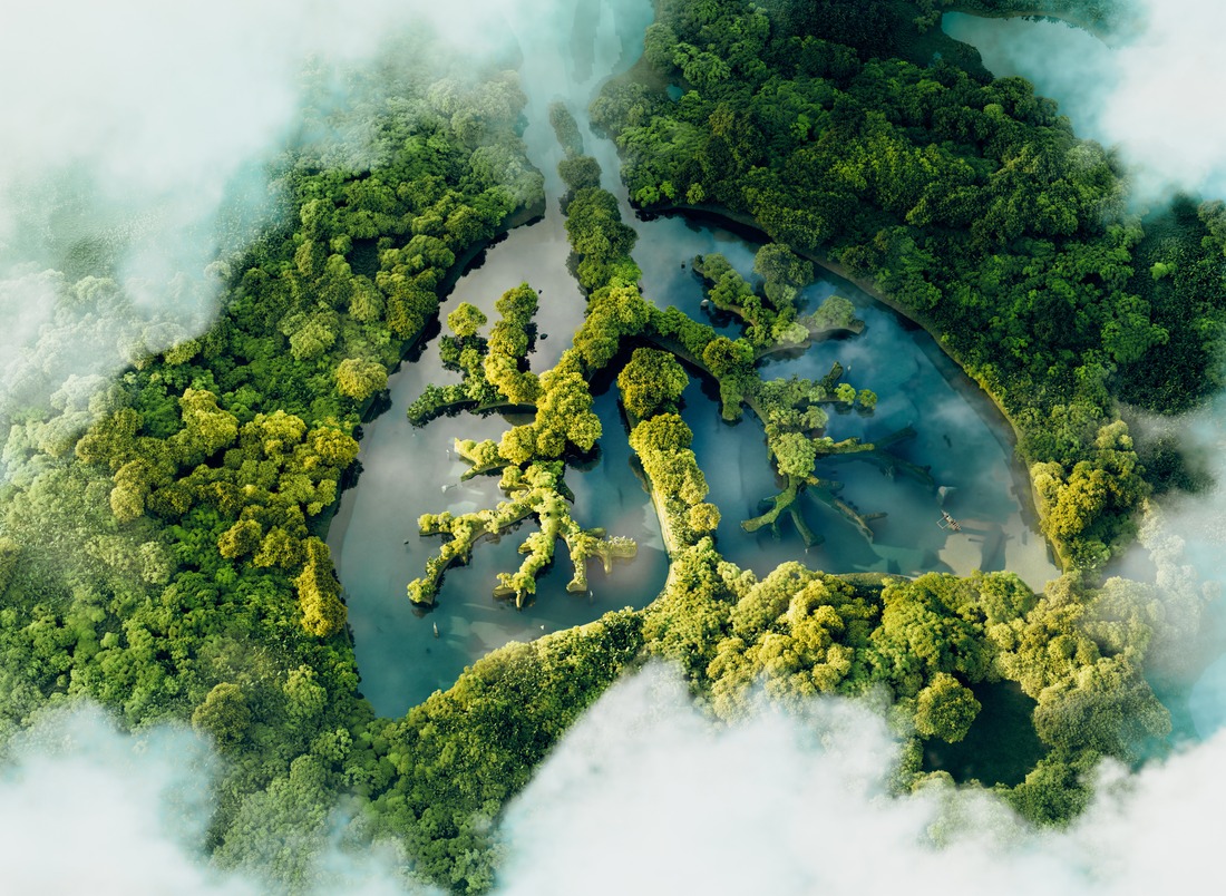 A conceptual image showing a lung-shaped lake in a lush and pristine jungle. 3d rendering.