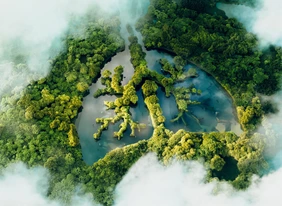 A conceptual image showing a lung-shaped lake in a lush and pristine jungle