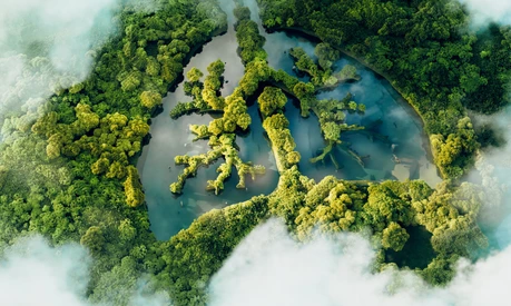 A conceptual image showing a lung-shaped lake in a lush and pristine jungle