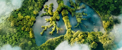 A conceptual image showing a lung-shaped lake in a lush and pristine jungle