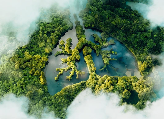 A conceptual image showing a lung-shaped lake in a lush and pristine jungle