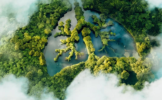 A conceptual image showing a lung-shaped lake in a lush and pristine jungle