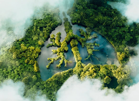 A conceptual image showing a lung-shaped lake in a lush and pristine jungle