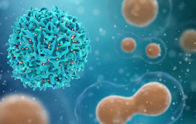 Medical concept of cancer. 3d illustration of T cells or cancer cells.