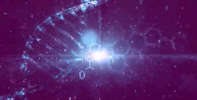 Video DNA screenshot