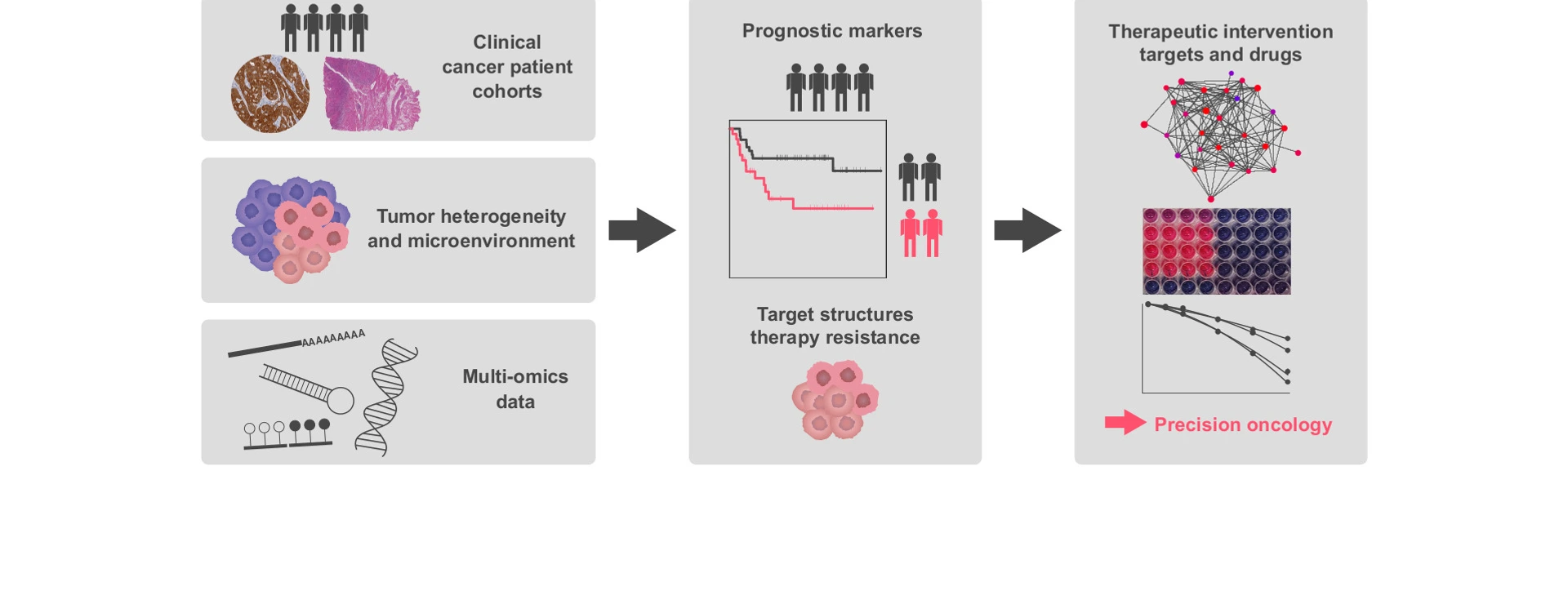 therapeutic targets and interventions