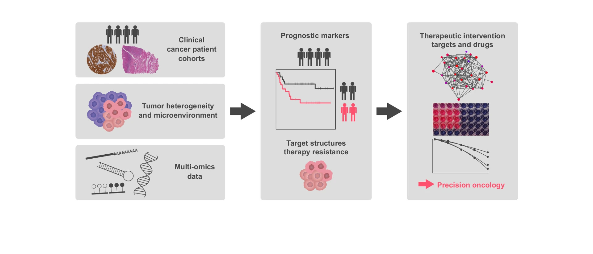 therapeutic targets and interventions