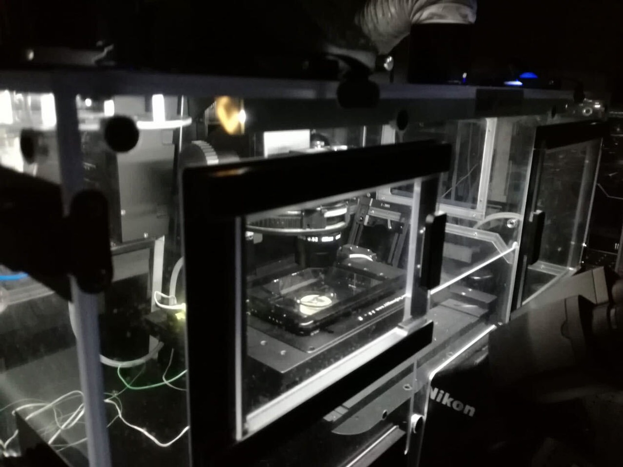 Art_the_IES_986ed704-a452-44ff-856a-9d4c7d433f53